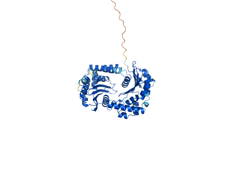 AlphaFold predicted structure of COR1