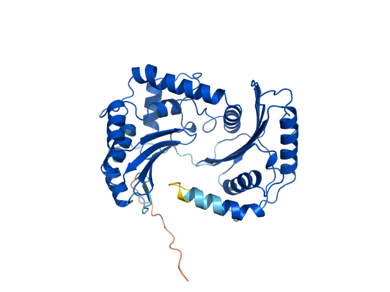 AlphaFold predicted structure of QCR2