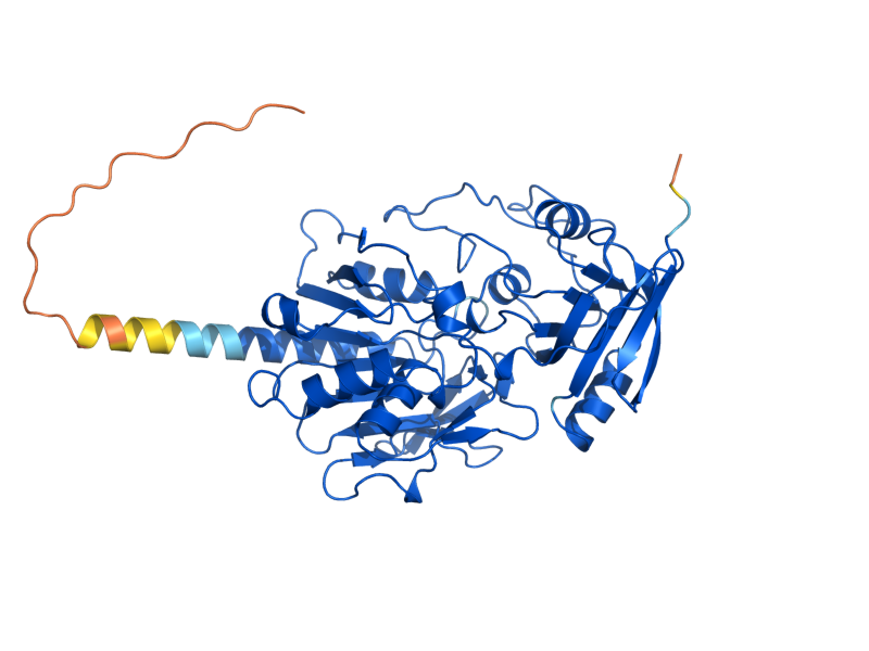 AlphaFold predicted structure of CPA1