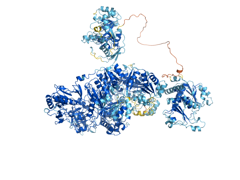 AlphaFold predicted structure of URA2