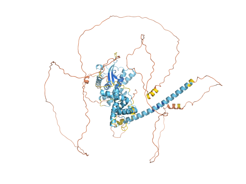 AlphaFold predicted structure of GCR1