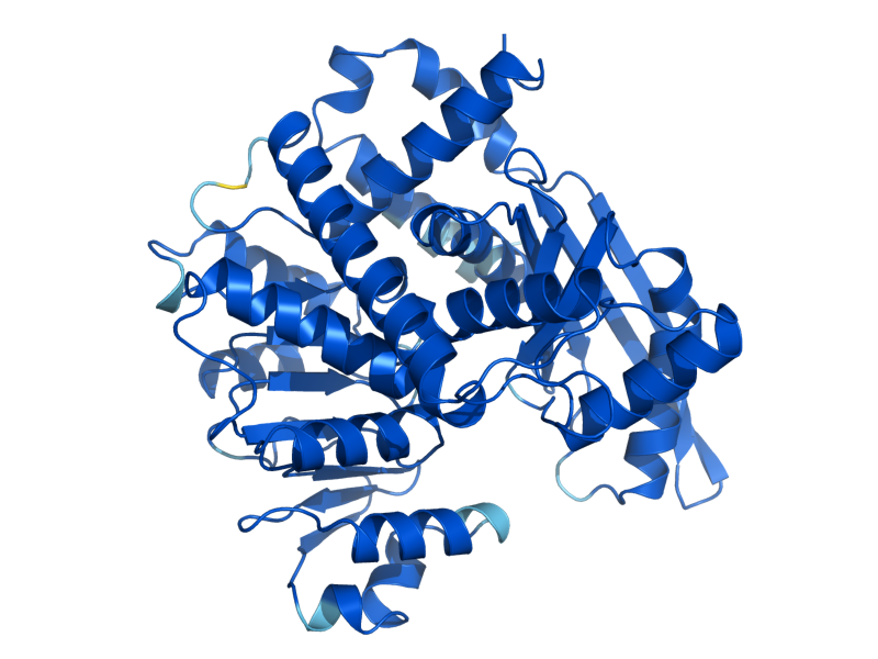 AlphaFold predicted structure of GDH1
