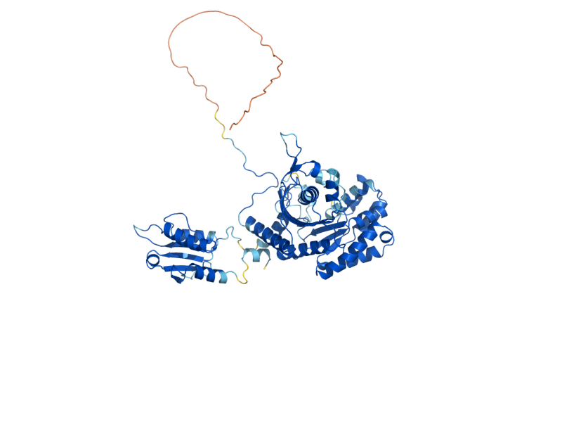 AlphaFold predicted structure of HTS1