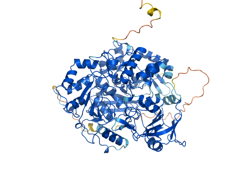 AlphaFold predicted structure of LEU1