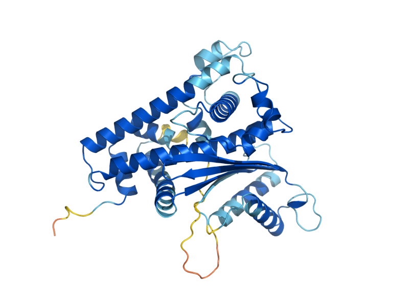 AlphaFold predicted structure of MRS1