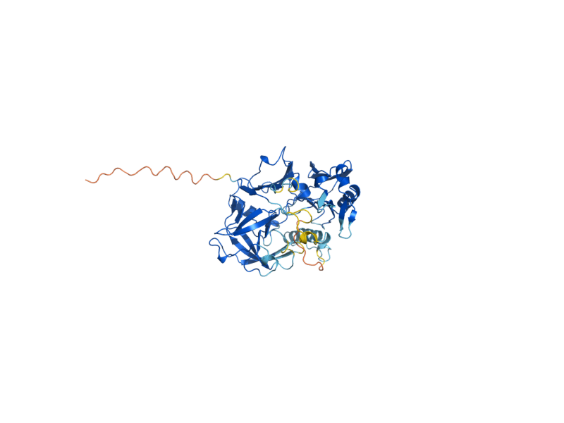 AlphaFold predicted structure of PEP4