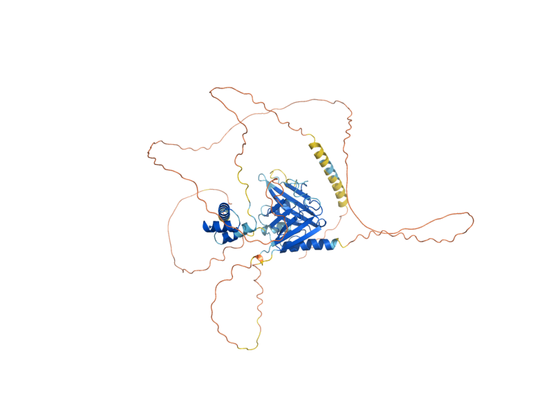 AlphaFold predicted structure of PHO2
