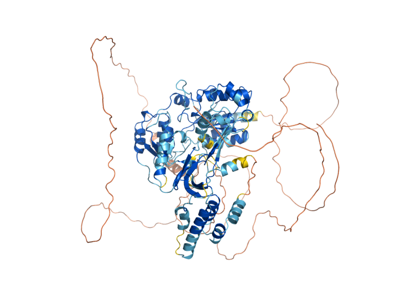 AlphaFold predicted structure of PIF1