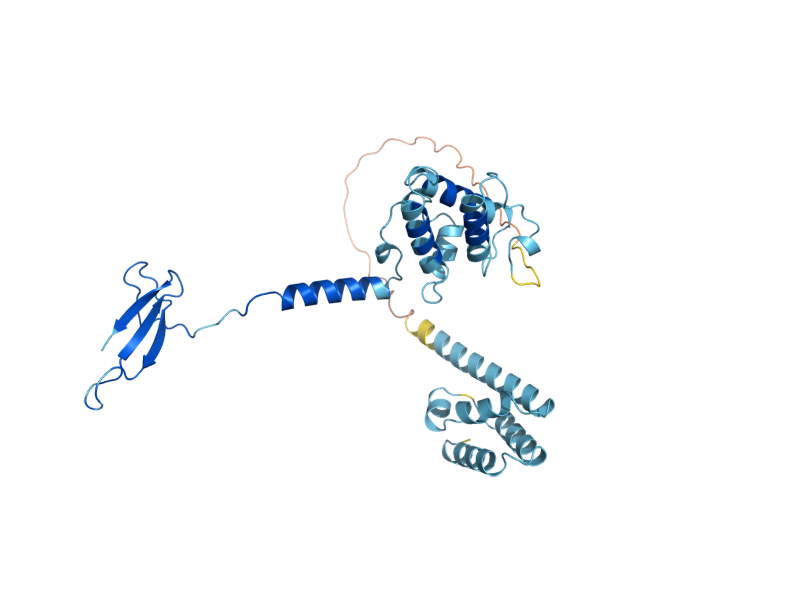 AlphaFold predicted structure of DST1