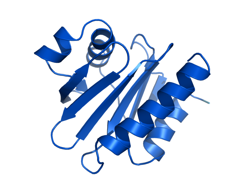 AlphaFold predicted structure of PFY1