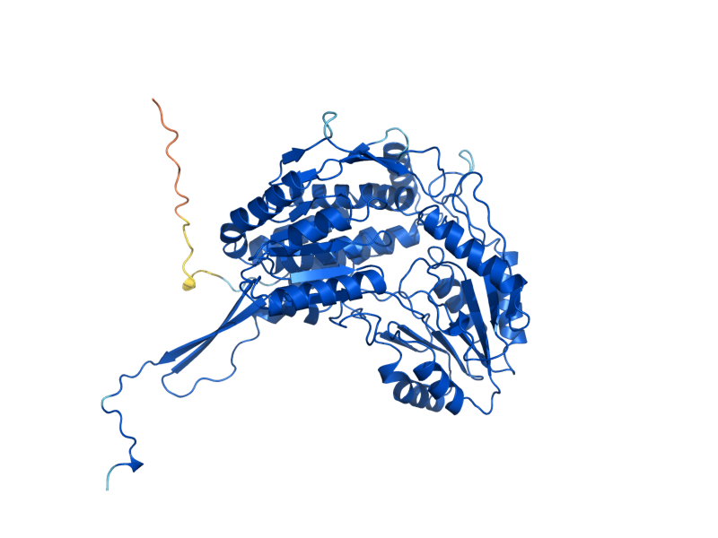 AlphaFold predicted structure of PUT2
