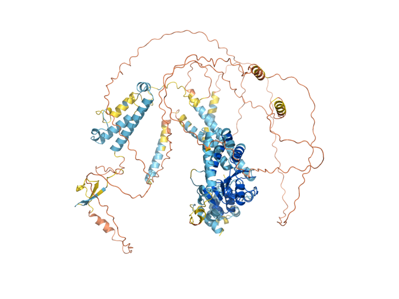 AlphaFold predicted structure of RAD2
