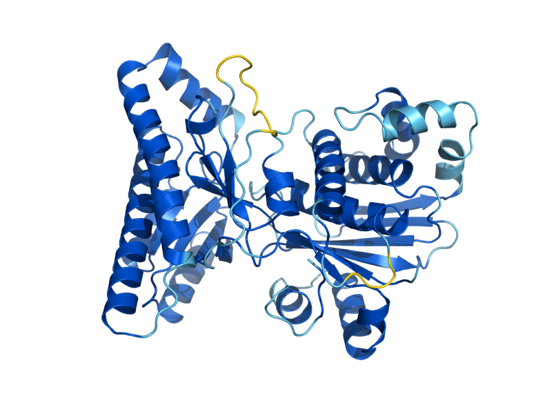 AlphaFold predicted structure of ERG12