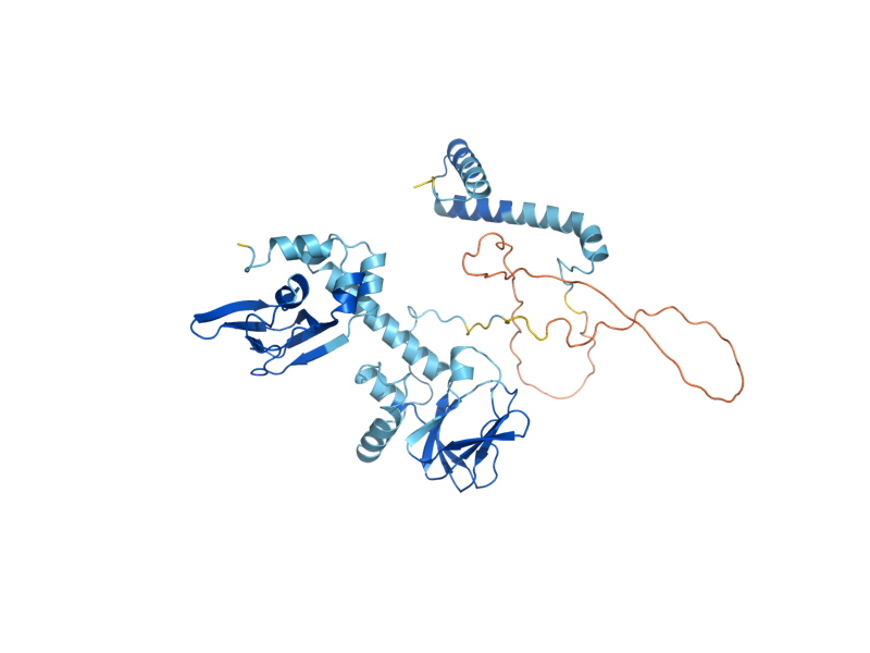 AlphaFold predicted structure of BCY1