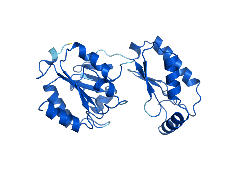 AlphaFold predicted structure of SEC53