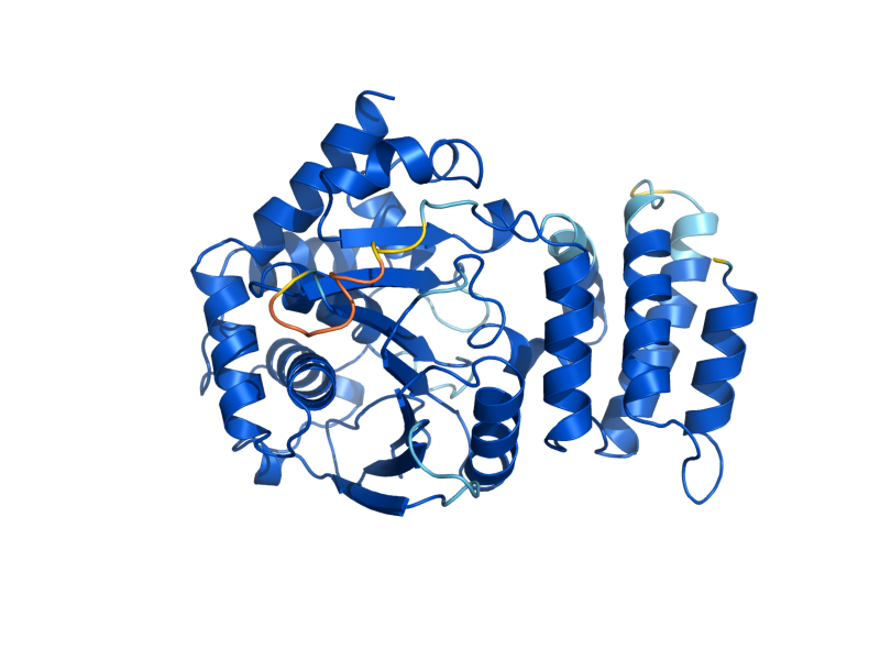 AlphaFold predicted structure of TRP4