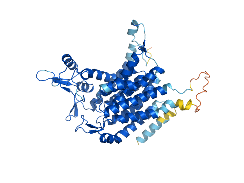 AlphaFold predicted structure of ALG7