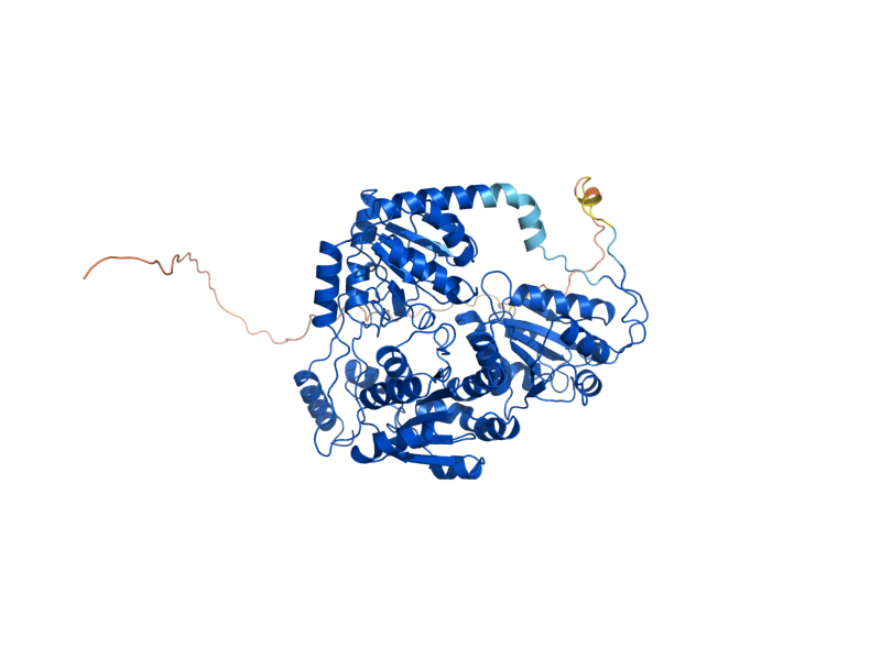 AlphaFold predicted structure of ILV2
