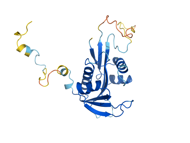 AlphaFold predicted structure of ARD1