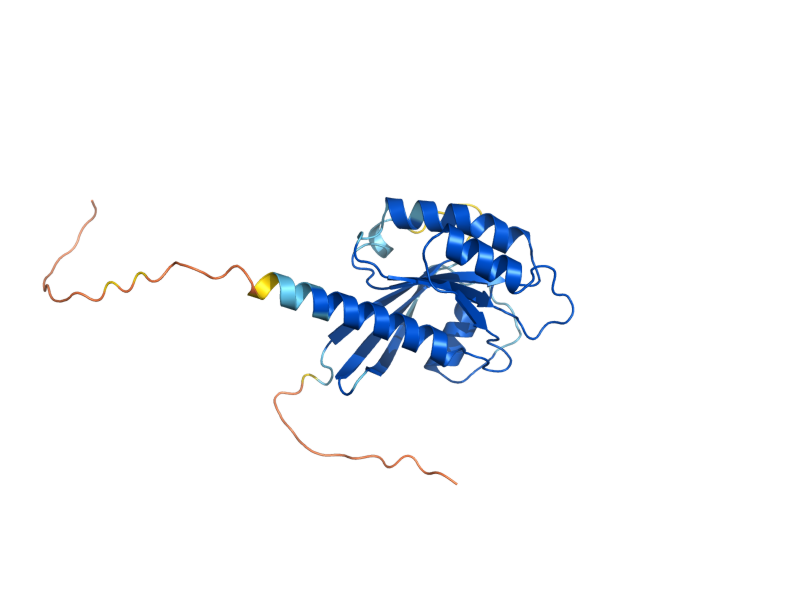 AlphaFold predicted structure of SEC4