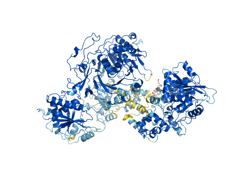 AlphaFold predicted structure of LYS2
