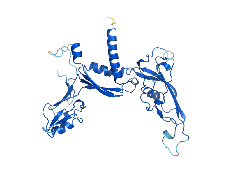 AlphaFold predicted structure of RPC40