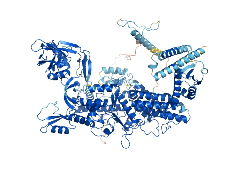 AlphaFold predicted structure of VAS1