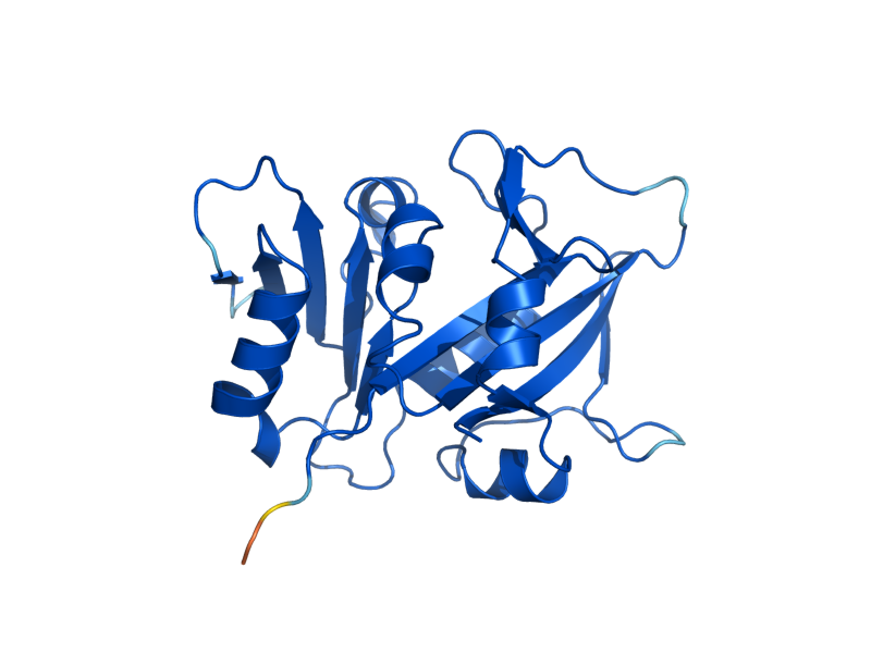 AlphaFold predicted structure of DFR1