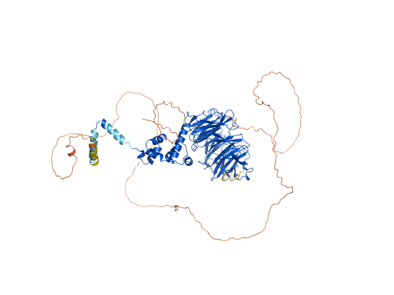AlphaFold predicted structure of CDC4