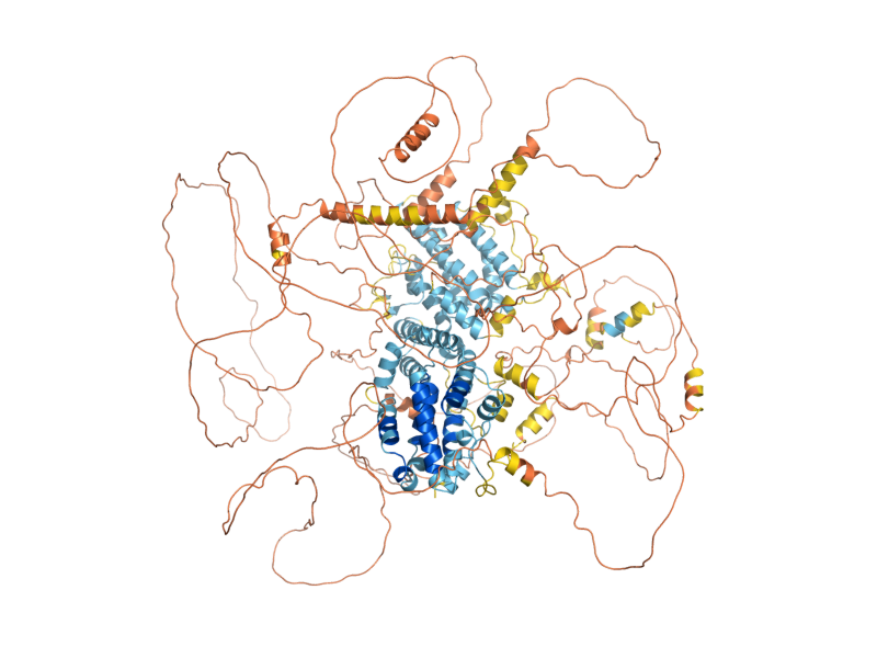 AlphaFold predicted structure of LTE1