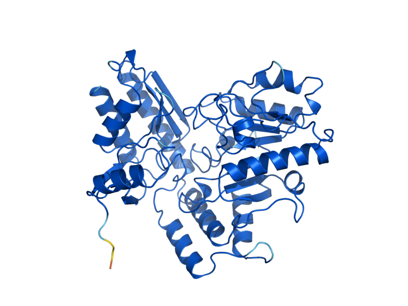 AlphaFold predicted structure of CAR2