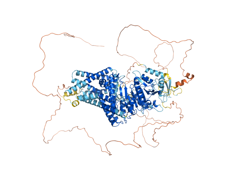 AlphaFold predicted structure of CHS1