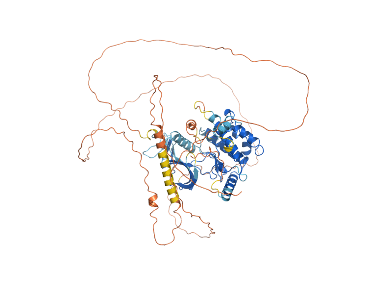 AlphaFold predicted structure of PBS2