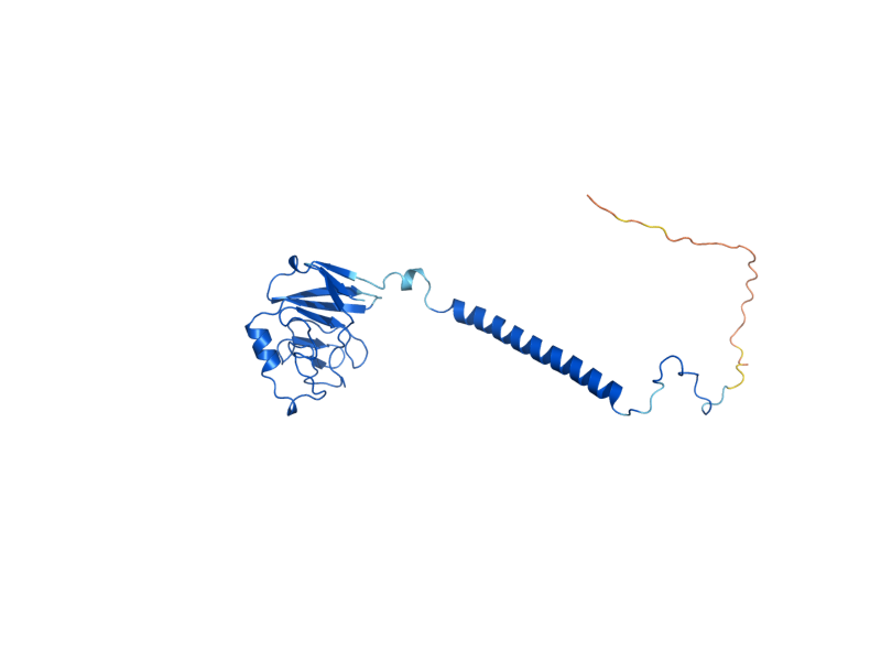 AlphaFold predicted structure of RIP1
