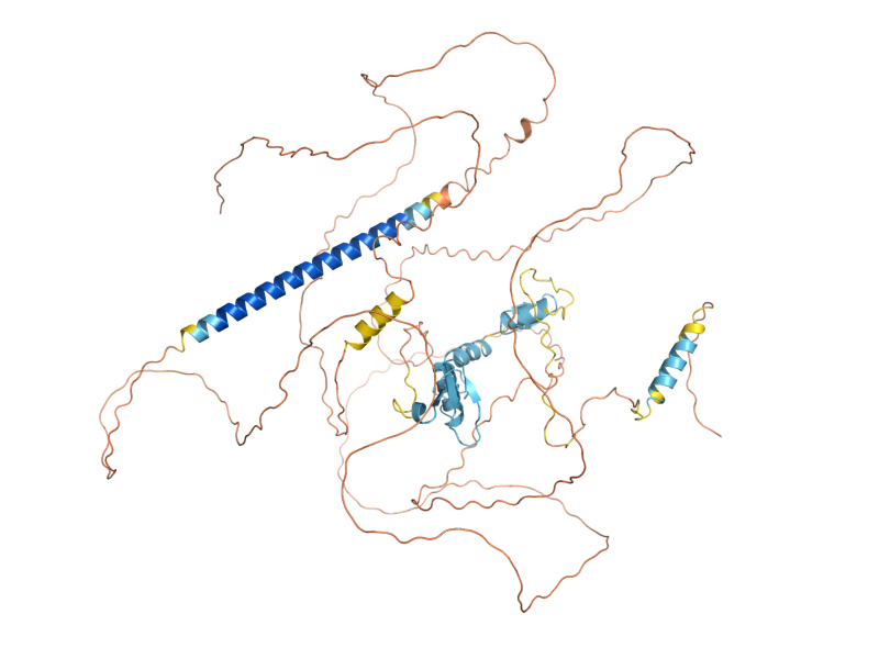 AlphaFold predicted structure of SWI5
