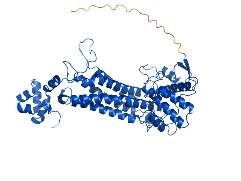 AlphaFold predicted structure of FUM1