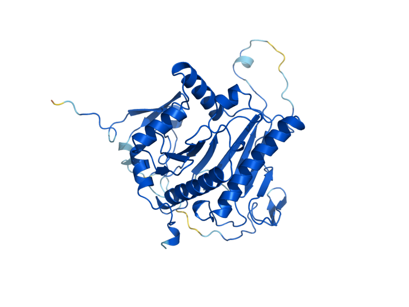 AlphaFold predicted structure of GAL7