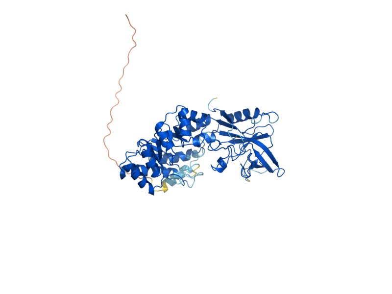 AlphaFold predicted structure of SPE1