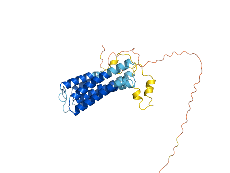 AlphaFold predicted structure of CHO1