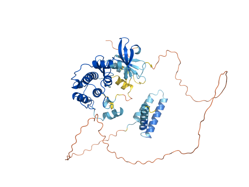 AlphaFold predicted structure of SPS1