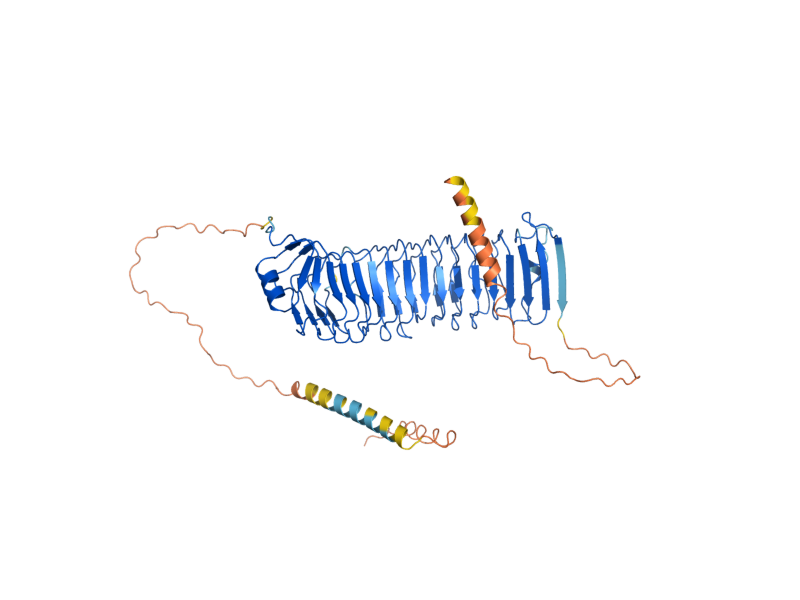 AlphaFold predicted structure of SPS2