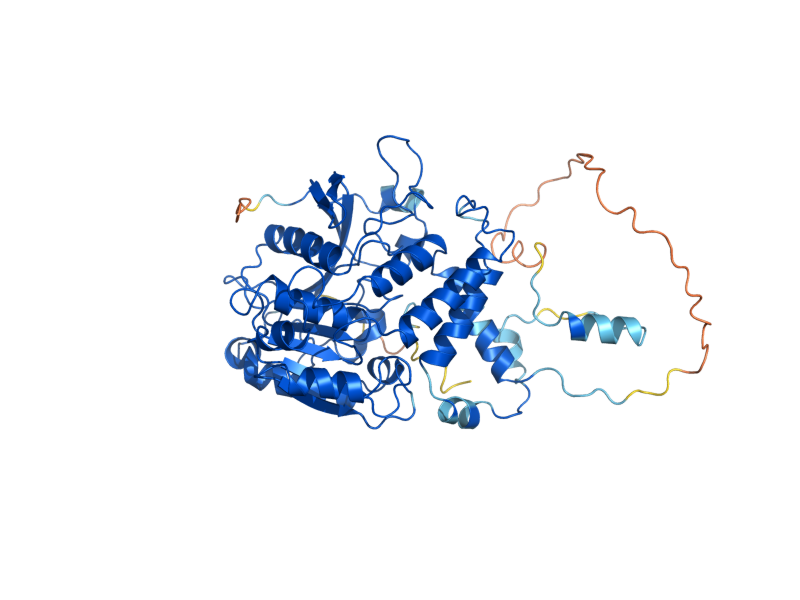 AlphaFold predicted structure of MET2