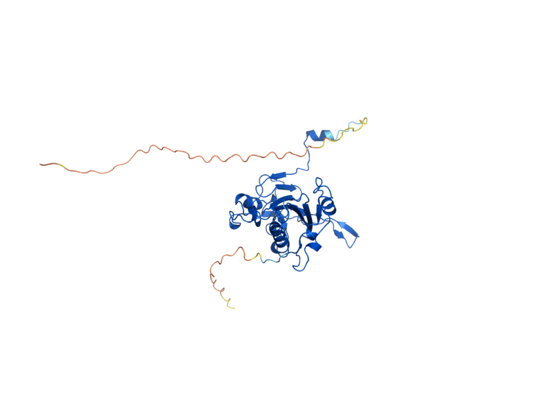 AlphaFold predicted structure of NUC1