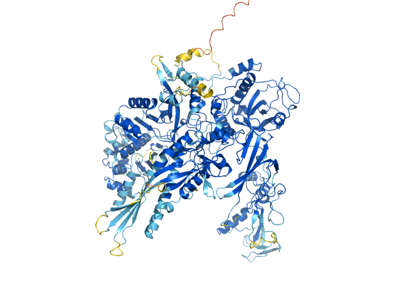 AlphaFold predicted structure of RPB2