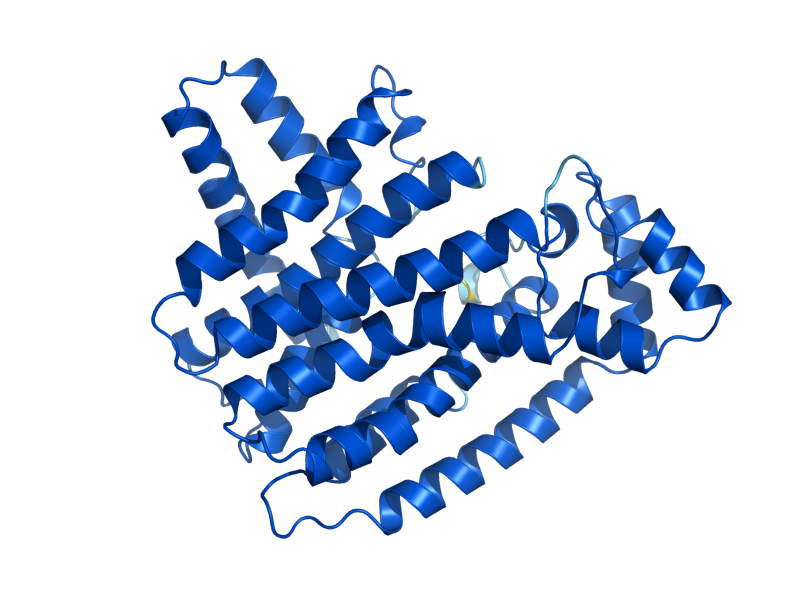 AlphaFold predicted structure of ERG20