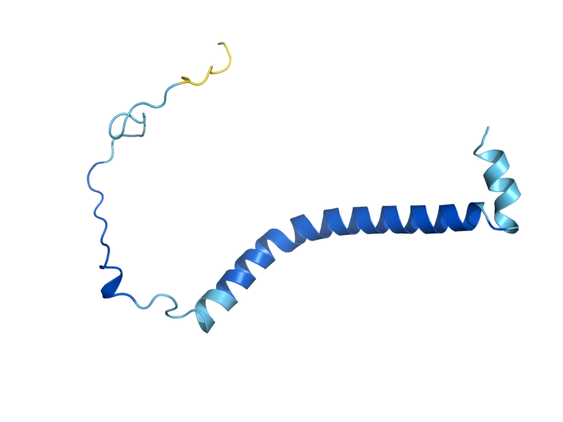 AlphaFold predicted structure of QCR8