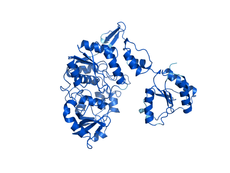 AlphaFold predicted structure of MET3