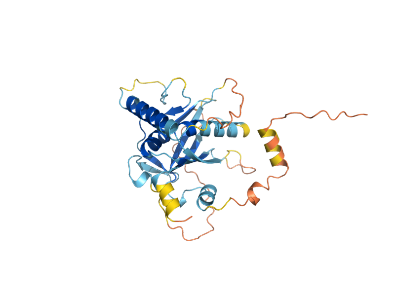 AlphaFold predicted structure of MSS18