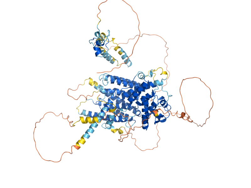 AlphaFold predicted structure of LEU3