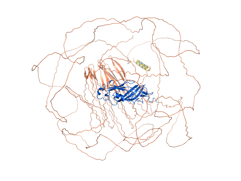 AlphaFold predicted structure of FLO11